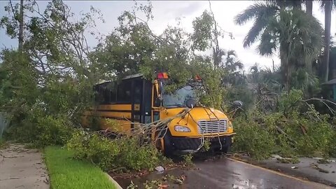 Severe storm sends tree on top of school bus