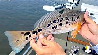 He Caught a Rare One! | Schools of Tailin Redfish in the GRIZZ