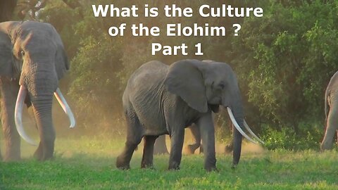 What is the culture of the Elohim? Part 1