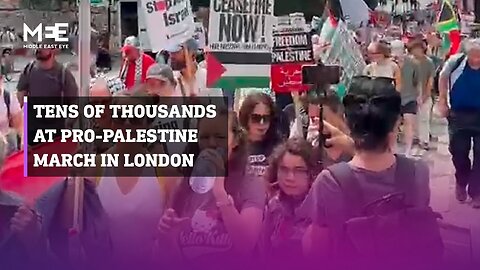 Pro-Palestine protesters carry red line in London march