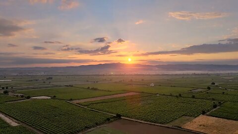 Alvorecer I Área rural I Brilho do sol I Campo I Luz solar I Nascer do sol I Paisagem I Drone I 4K