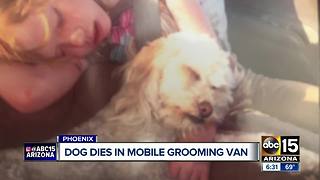 Family dog dies in mobile grooming van