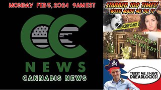 Cannabis News Update – Marijuana Murder, Colorado Drying Up, and Czech Rep is Waiting!