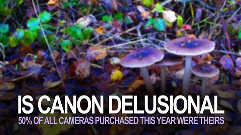 Is Canon Delusional? 50% Of Cameras Sold This Year Are Canon