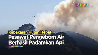 Hutan Tebakar, Pesawat Pengebom Air Gagah Taklukan Api