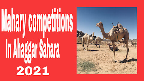 Mahary competition