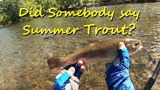 Did You Say Summer TROUT?