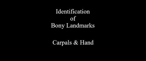Identification of Bony Landmarks - Carpals & Hand