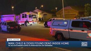Police investigating after child, man and 2 dogs found dead inside Mesa home