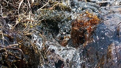 water Veiw in mountain