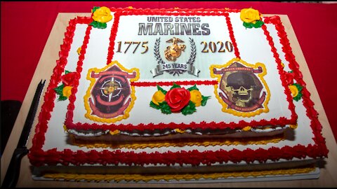 Marine Corps 245th Birthday & Veterans day Tribute Video