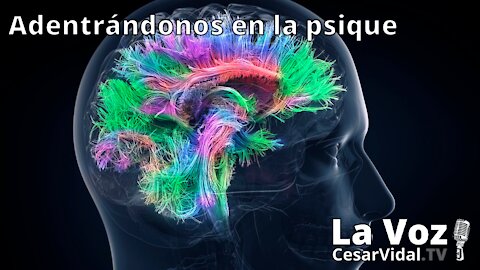 Adentrándonos en la psique: La neuropsicología de las emociones (2) - 20/01/21