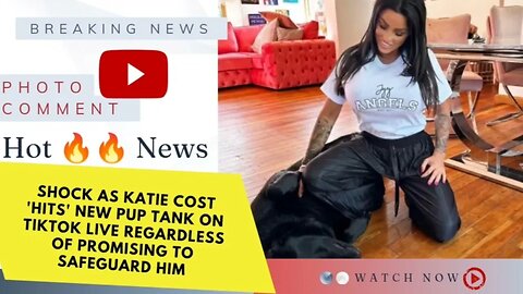 Shock as Katie Cost 'hits' new pup Tank on TikTok live regardless of promising to safeguard him