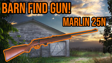 An Underrated 22LR Rifle Rescue! | The Marlin 25N