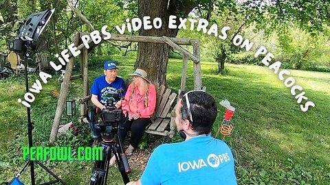 PBS's Iowa Life Video Extras On Peacocks and Mr. Peacock, peafowl.com