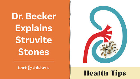 Dr. Becker Explains Struvite Stones