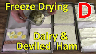 Freeze Drying D: Dairy & Deviled Ham