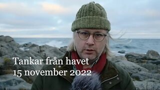 Tankar från havet 15 november 2022