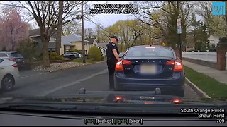 Video: Elected Official Calls Police Chief ‘Skinhead’ for Pulling Her Over