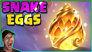 Opening $300 of GOLDEN Snake EGGS in SSSNAKER until i Get THEM ALL!!