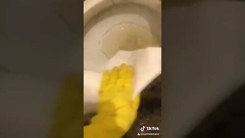 DIY Cleaning Toilet