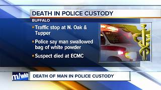 Suspect dies in custody