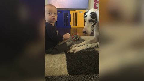 "Best Friends Share A Treat"