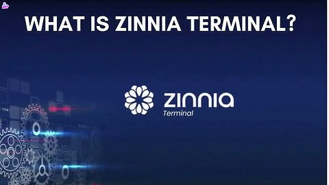 What exactly is Zinnia Terminal?