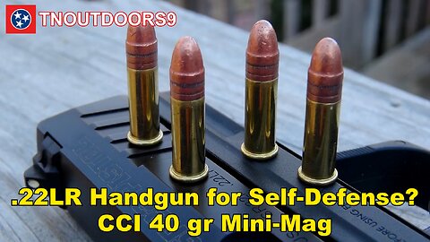 .22LR Handgun for Self-Defense? CCI 40 gr Mini-Mag