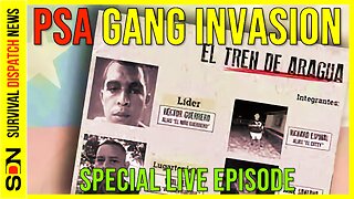 SURVIVAL INTEL | Tren de Aragua Gang Wreaking Havoc in America