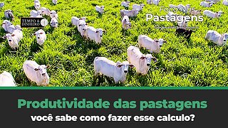 Produtividade das pastagens: você sabe como fazer esse calculo ? Tema de hoje do Foco nas Pastagens