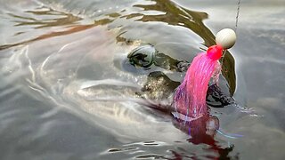 EPIC Steelhead Bobber DOWNS! (Desert STEELHEAD Fishing)