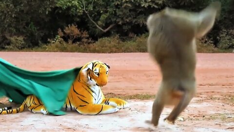 Fake Tiger Prank Monkey and Dog So Funny ,Monkey scare....