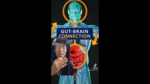 Gut-Brain Connection