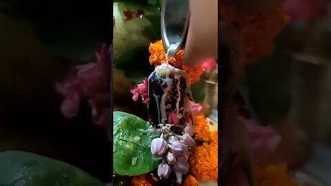 Worship of Shiva Linga