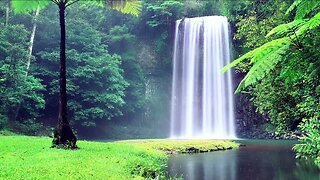 A Melodic Waterfall in the Green