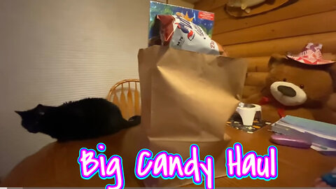 Minnesota's Largest Candy Store Haul