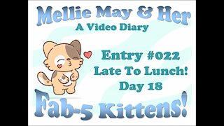 Video Diary Entry 022: Get The Toy? Late To Lunch - Day 18