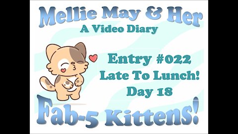 Video Diary Entry 022: Get The Toy? Late To Lunch - Day 18