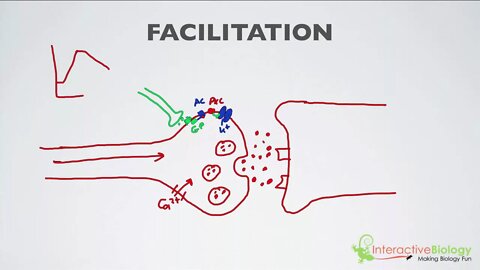 020 Facilitation