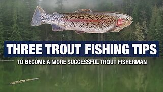 3 Advanced Trout Fishing Tips and Tricks - Become A Better Trout Fisherman