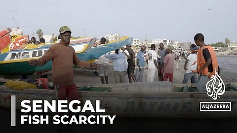 Senegal fish scarcity: Fishermen blame climate change & trawling| U.S. NEWS ✅