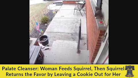 Palate Cleanser: Woman Feeds Squirrel, Then Squirrel Returns the Favor Leaves a Cookie Out for Her