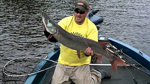 Musky Fishing Adventures - Muskie Maverick