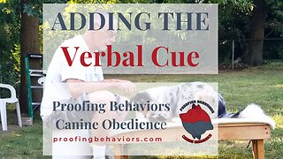 Adding the Verbal cue part 1
