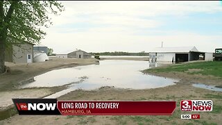 Families assess flooding in Hamburg