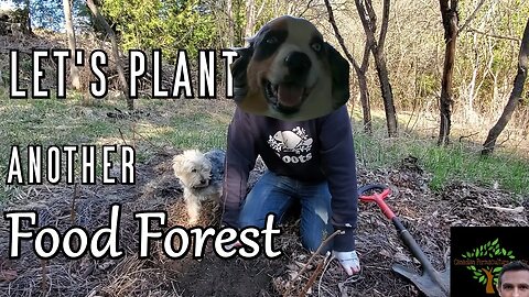 Let's plant ANOTHER Food Forest!