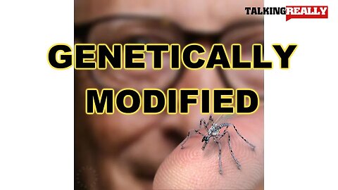 Genetically modified mosquito released | Talking Really Channel | Billy Goats involved in this