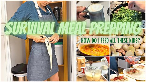 EASY WEEKLY MEAL PREP MADE FROM SCRATCH RECIPES PANTRY MEALS WHATS FOR DINNER LARGE FAMILY
