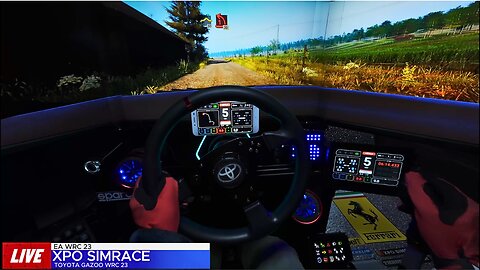 NOVO UPDATE FICOU INSANO NO EA WRC23 |THRUSTMASTER T818